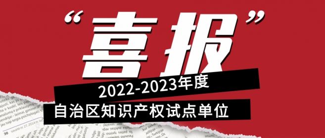 喜報！寧夏盾源聚芯獲批“2022-2023年度自治區(qū)知識產(chǎn)權(quán)試點單位”